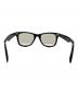 RAY-BAN (レイバン) RAY-BAN　ウェイファーラー　サングラス ブラウン：7000円
