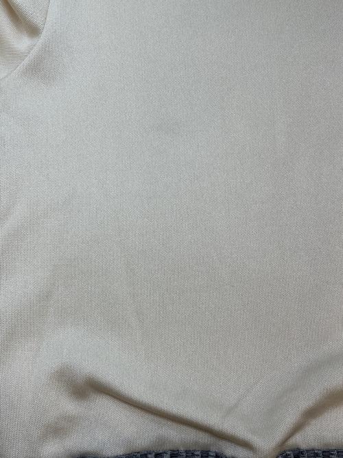 UNITED TOKYO（ユナイテッドトーキョー）UNITED TOKYO (ユナイテッドトーキョー) UNITED TOKYO　薄手ニット ベージュ×グリーン サイズ:FREEの古着・服飾アイテム