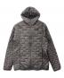 Patagonia（パタゴニア）の古着「Patagonia　ナイロンジャケット」｜グレー