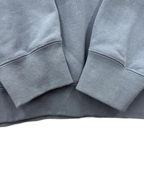 THE NORTH FACE（ザ ノース フェイス）THE NORTH FACE (ザ ノース フェイス) THE NORTH FACE　ボックスロゴフーディー　パーカー ブルー サイズ:Lの古着・服飾アイテム