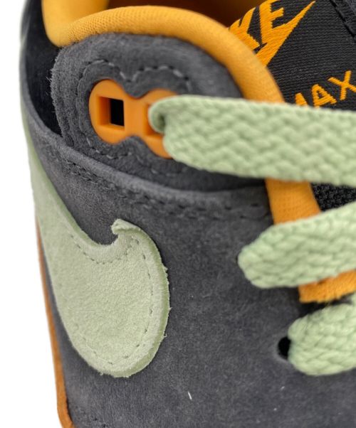 NIKE（ナイキ）NIKE (ナイキ) Air Max 1 Duck Pack 