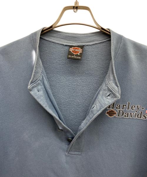 HARLEY-DAVIDSON（ハーレーダビッドソン）HARLEY-DAVIDSON (ハーレーダビッドソン) ヘンリーネックカットソー スカイブルー サイズ:Lの古着・服飾アイテム