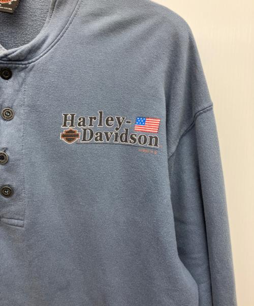 HARLEY-DAVIDSON（ハーレーダビッドソン）HARLEY-DAVIDSON (ハーレーダビッドソン) ヘンリーネックカットソー スカイブルー サイズ:Lの古着・服飾アイテム