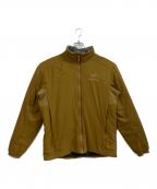 ARC'TERYXアークテリクス）の古着「ATOM AR HOODY」