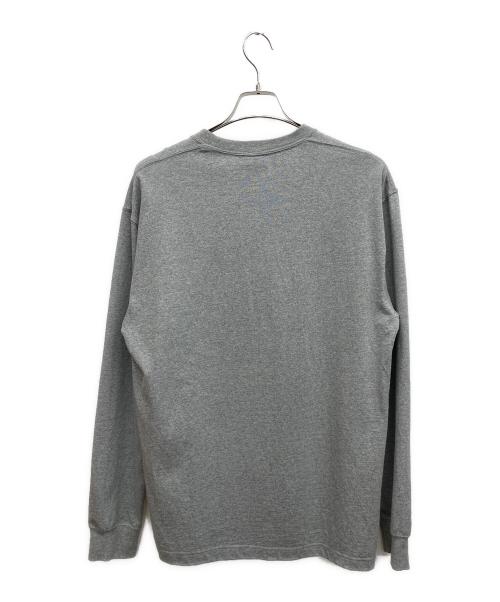 THE NORTH FACE（ザ ノース フェイス）THE NORTH FACE (ザ ノース フェイス) ロングスリーブカットソー グレー サイズ:XLの古着・服飾アイテム