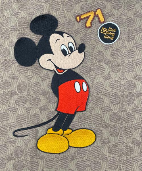 COACH（コーチ）COACH (コーチ) 半袖カットソー ブラウン サイズ:Lの古着・服飾アイテム