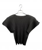 PLEATS PLEASEプリーツプリーズ）の古着「プリーツブラウス　MONTHLY COLORS AUGUST」｜グレー