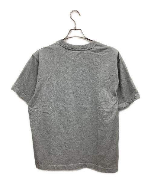 NANGA（ナンガ）NANGA (ナンガ) WILD1 (ワイルドワン) 半袖カットソー グレー サイズ:Mの古着・服飾アイテム