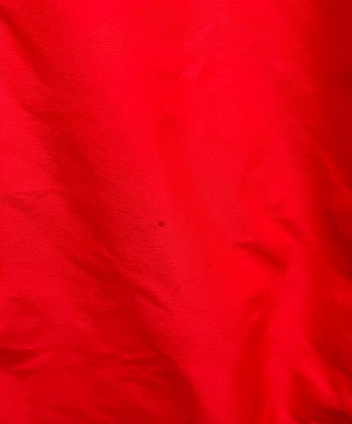 THE NORTH FACE（ザ ノース フェイス）THE NORTH FACE (ザ ノース フェイス) MOUNTAIN JACKET（マウンテンジャケット） レッド サイズ:Sの古着・服飾アイテム