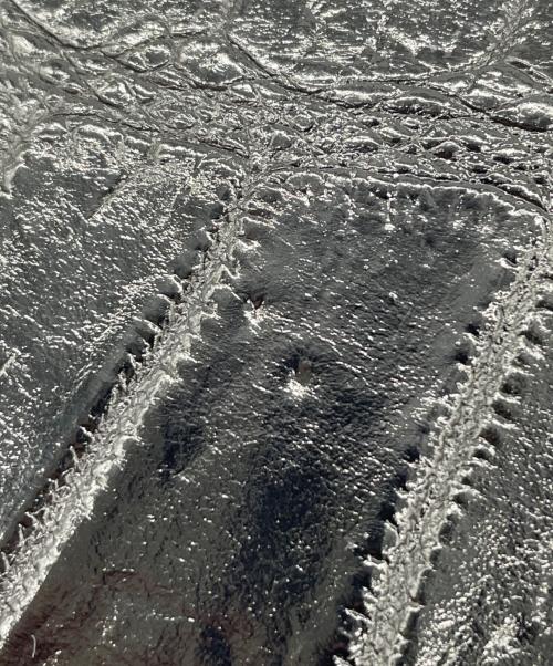 GENUINE CROCODILE SKIN（ジェニュインクロコダイルスキン）genuine crocodile skin (ジェニュインクロコダイルスキン) 2つ折り財布 ブラックの古着・服飾アイテム