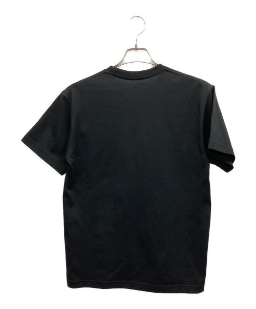 THE NORTH FACE（ザ ノース フェイス）THE NORTH FACE (ザ ノース フェイス) 半袖カットソー ブラック サイズ:Sの古着・服飾アイテム