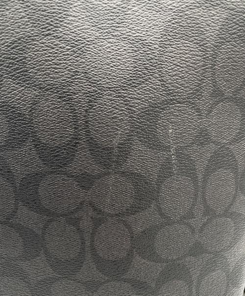 COACH（コーチ）COACH (コーチ) リュックの古着・服飾アイテム