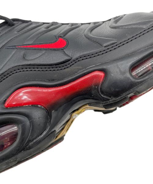 NIKE（ナイキ）NIKE (ナイキ) Air Max Plus Premium ブラック サイズ:29cmの古着・服飾アイテム