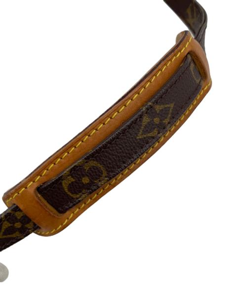 LOUIS VUITTON（ルイ ヴィトン）LOUIS VUITTON (ルイ ヴィトン) ショルダーバッグ　アマゾン ブラウンの古着・服飾アイテム
