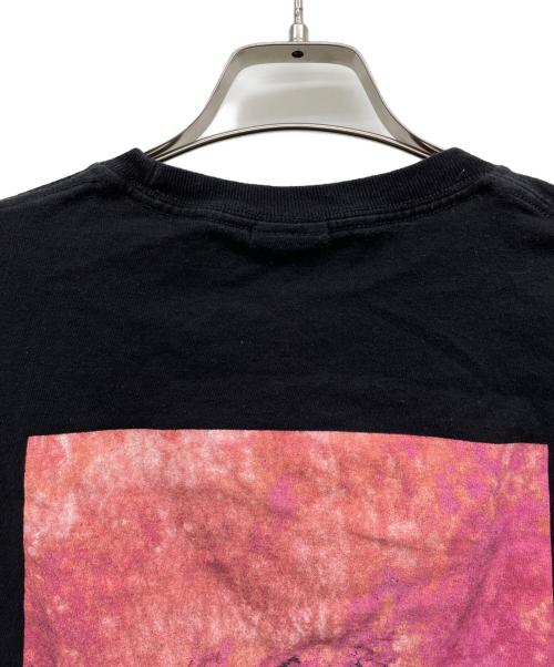 stussy（ステューシー）stussy (ステューシー) 半袖カットソー ブラック サイズ:Mの古着・服飾アイテム