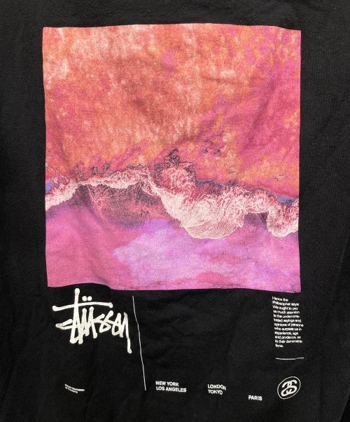 stussy（ステューシー）stussy (ステューシー) 半袖カットソー ブラック サイズ:Mの古着・服飾アイテム