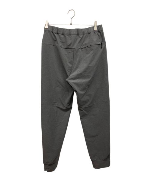 THE NORTH FACE（ザ ノース フェイス）THE NORTH FACE (ザ ノース フェイス) パンツ グレー サイズ:Lの古着・服飾アイテム