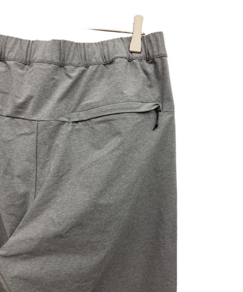 THE NORTH FACE（ザ ノース フェイス）THE NORTH FACE (ザ ノース フェイス) パンツ グレー サイズ:Lの古着・服飾アイテム