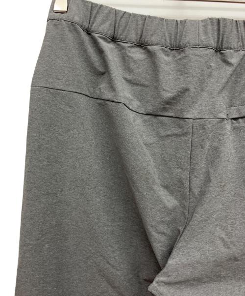 THE NORTH FACE（ザ ノース フェイス）THE NORTH FACE (ザ ノース フェイス) パンツ グレー サイズ:Lの古着・服飾アイテム