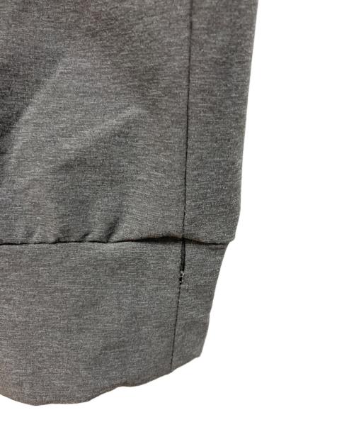 THE NORTH FACE（ザ ノース フェイス）THE NORTH FACE (ザ ノース フェイス) パンツ グレー サイズ:Lの古着・服飾アイテム
