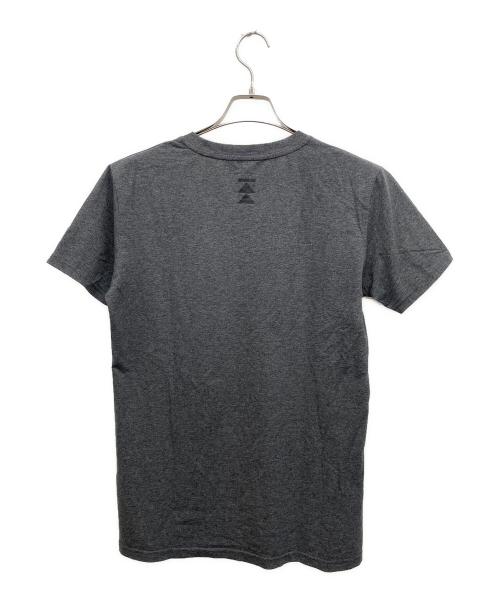 Haleo（ハレオ）HALEO (ハレオ) 半袖カットソー グレー サイズ:Lの古着・服飾アイテム