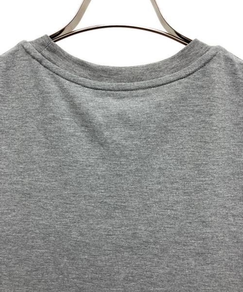 THE NORTH FACE（ザ ノース フェイス）THE NORTH FACE (ザ ノース フェイス) 半袖ワンピース グレー サイズ:Ｍの古着・服飾アイテム