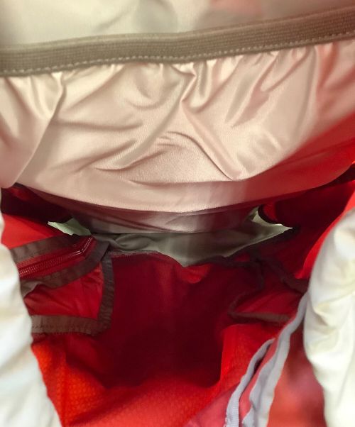 GREGORY（グレゴリー）GREGORY (グレゴリー) バックパック レッドの古着・服飾アイテム