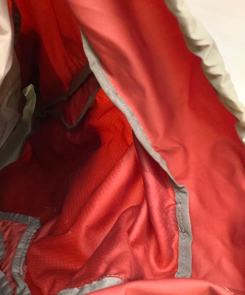 GREGORY（グレゴリー）GREGORY (グレゴリー) バックパック レッドの古着・服飾アイテム