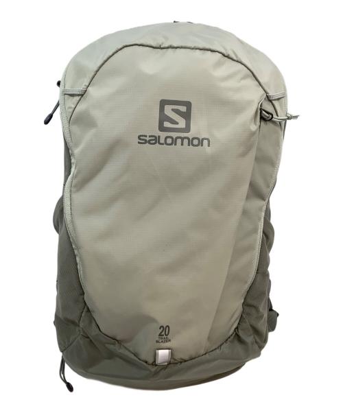 SALOMON（サロモン）SALOMON (サロモン) リュック ライトグレーの古着・服飾アイテム