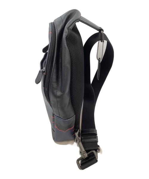 COACH（コーチ）COACH (コーチ) ワンショルダーバッグ ブルーの古着・服飾アイテム