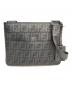 FENDI (フェンディ) ショルダーバッグ グレー：60000円