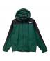 THE NORTH FACE（ザ ノース フェイス）の古着「レインテックス プラズマ」｜ブラック×グリーン