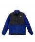 THE NORTH FACE（ザ ノース フェイス）の古着「デナリジャケット」｜ブルー