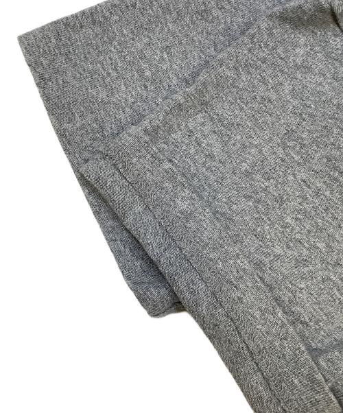 THE NORTH FACE（ザ ノース フェイス）THE NORTH FACE (ザ ノース フェイス) S/S Square Logo Joshua Tree Tee グレー サイズ:Lの古着・服飾アイテム