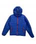 Patagonia（パタゴニア）の古着「ダウンジャケット」｜ブルー