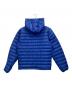 Patagonia (パタゴニア) ダウンジャケット ブルー サイズ:S：15000円