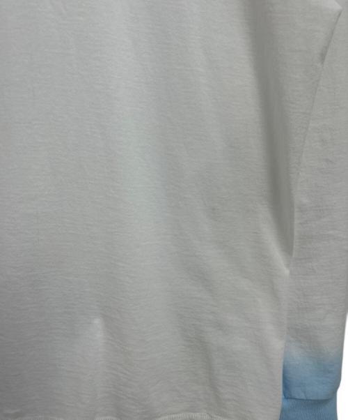 anytee classics（エニティー クラシックス）anytee classics (エニティー クラシックス) ロングスリーブカットソー ホワイト×ブルー サイズ:Lの古着・服飾アイテム