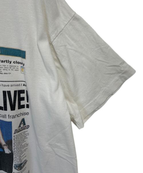 FRUIT OF THE LOOM（フルーツオブザルーム）FRUIT OF THE LOOM (フルーツオブザルーム) 半袖カットソー ホワイト サイズ:Lの古着・服飾アイテム