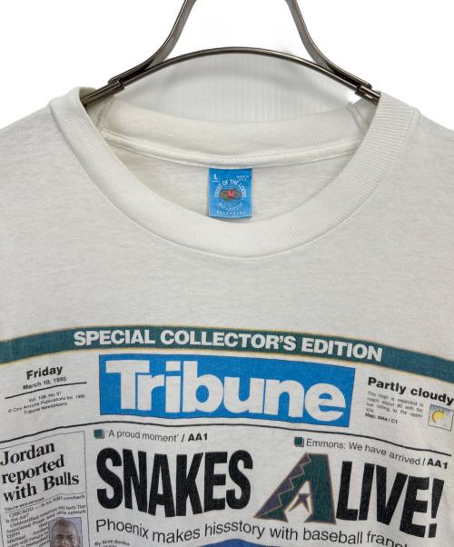 FRUIT OF THE LOOM（フルーツオブザルーム）FRUIT OF THE LOOM (フルーツオブザルーム) 半袖カットソー ホワイト サイズ:Lの古着・服飾アイテム