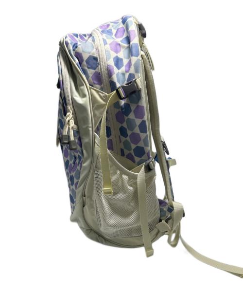 THE NORTH FACE（ザ ノース フェイス）THE NORTH FACE (ザ ノース フェイス) バックパック アイボリーの古着・服飾アイテム