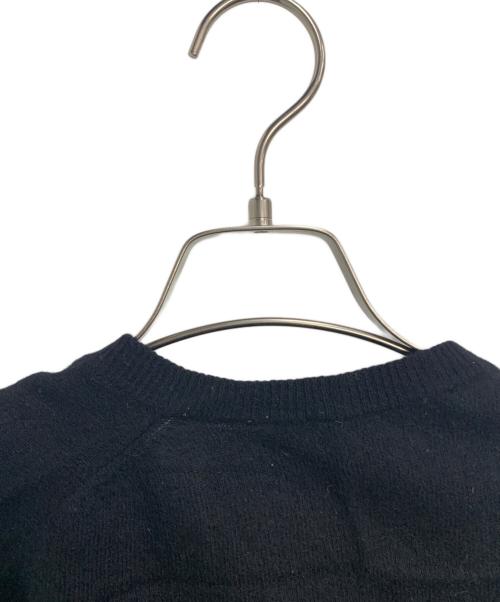 COMME des GARCONS HOMME（コムデギャルソン オム）COMME des GARCONS HOMME (コムデギャルソン オム) 厚手ニット ブラック サイズ:SIZE 不明の古着・服飾アイテム
