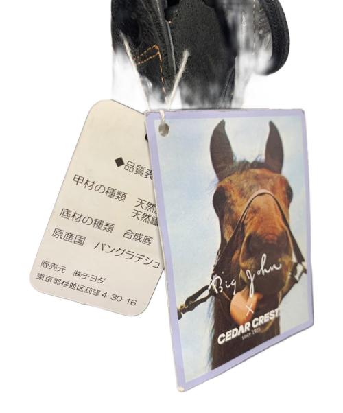 CEDAR CREST（セダークレスト）CEDAR CREST (セダークレスト) BIG JOHN (ビッグジョン) ブーツ サイズ:25.5の古着・服飾アイテム