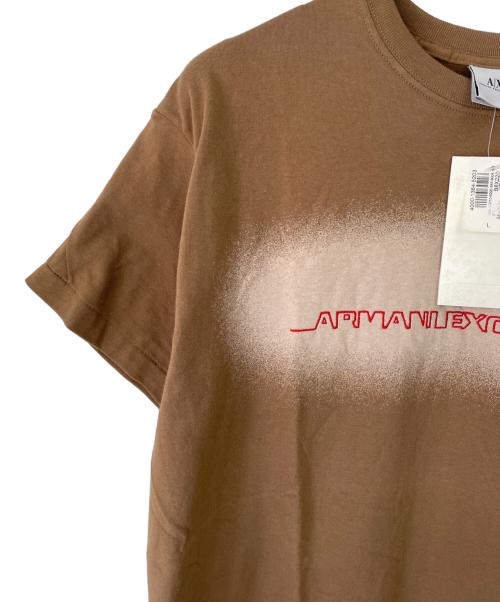 ARMANI EXCHANGE（アルマーニ エクスチェンジ）ARMANI EXCHANGE (アルマーニ エクスチェンジ) 半袖カットソー ブラウン サイズ:Lの古着・服飾アイテム