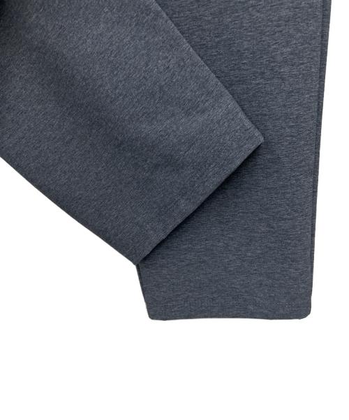 THE NORTH FACE（ザ ノース フェイス）THE NORTH FACE (ザ ノース フェイス) エイペックスフレックスパンツ グレー サイズ:Lの古着・服飾アイテム