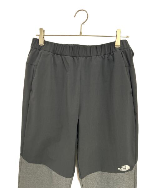 THE NORTH FACE（ザ ノース フェイス）THE NORTH FACE (ザ ノース フェイス) エイペックスフレックスパンツ グレー サイズ:Lの古着・服飾アイテム