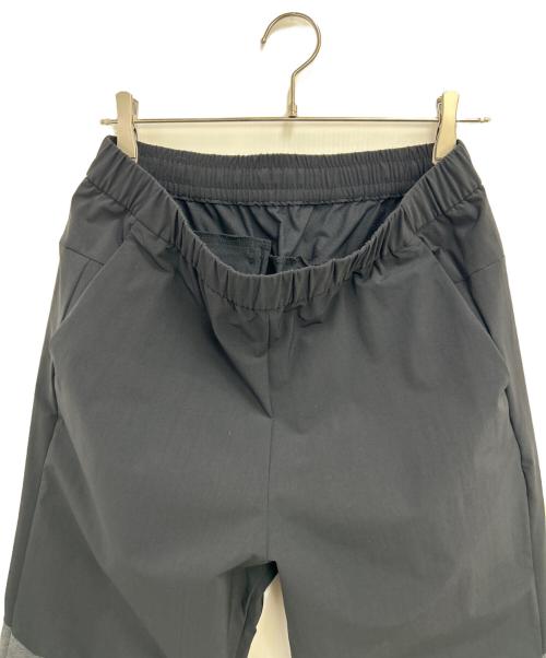 THE NORTH FACE（ザ ノース フェイス）THE NORTH FACE (ザ ノース フェイス) エイペックスフレックスパンツ グレー サイズ:Lの古着・服飾アイテム