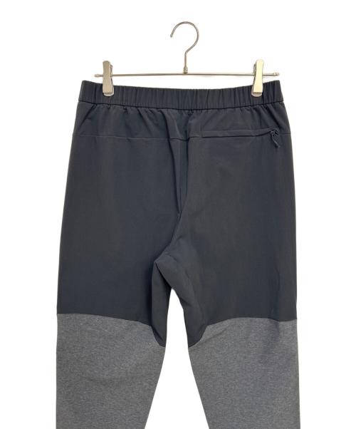 THE NORTH FACE（ザ ノース フェイス）THE NORTH FACE (ザ ノース フェイス) エイペックスフレックスパンツ グレー サイズ:Lの古着・服飾アイテム