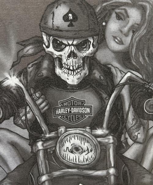 HARLEY-DAVIDSON（ハーレーダビッドソン）HARLEY-DAVIDSON (ハーレーダビッドソン) 半袖カットソー グレー サイズ:Lの古着・服飾アイテム