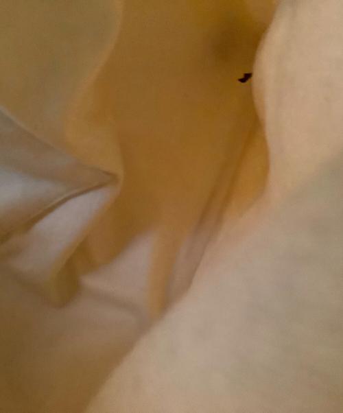 MM6 Maison Margiela（エムエムシックスメゾンマルジェラ）MM6 Maison Margiela (エムエムシックスメゾンマルジェラ) ジャパニーズバッグ ベージュの古着・服飾アイテム
