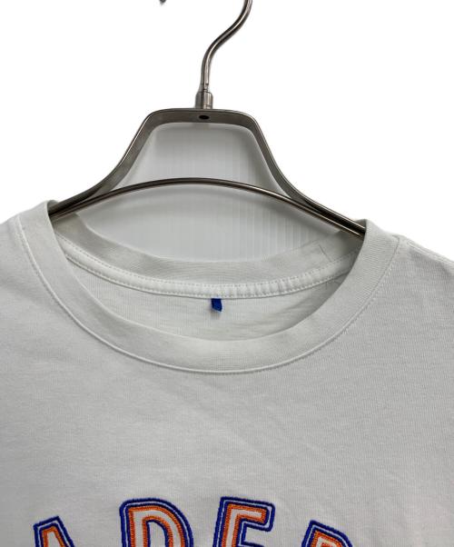 ADER error（アーダーエラー）ADER error (アーダーエラー) maison kitsune (メゾンキツネ) 半袖カットソー ホワイト×ブルー サイズ:SIZE  A1の古着・服飾アイテム